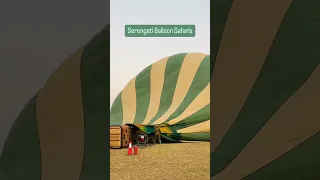 Serengeti Balloon Safaris #travel #tanzania #serengeti #africantravel #follow #africa #migration