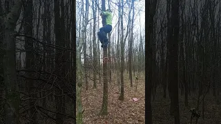 Climb a tree