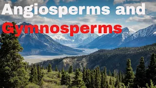 Difference between  angiosperm and gymnosperm plants