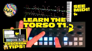 The Strange Torso T1 Sequencer EXPLAINED Step by Step.