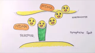 MDMA - Was passiert in meinem Gehirn?