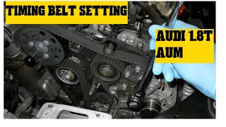 Timing belt setting for vw Audi 1.8T AUM   #instruction #torquesetting #timingbelt #cambelt