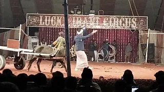 lucky Irani circus