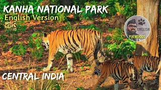 Kanha National Park in India | Tiger reserve safari in Madhyapradesh