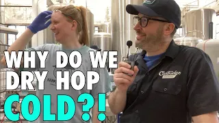 Adam Makes Beer: Pro Brewer Explains How He Avoids Hop Creep