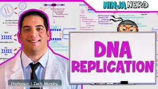 Cell Biology | DNA Replication 🧬