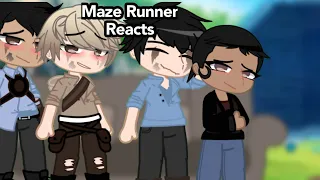 The Maze Runner Reacts || Warnings in Desc!