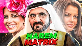 The Dark Truth: Why Sheikh Mohammed's Wives Hate Their Rich Husband???