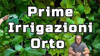 Esempio Prime Irrigazioni Orto e Importanti Consigli per Irrigare