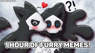 1 HOUR of furry memes that will transfur you