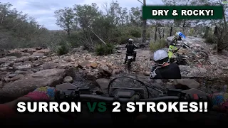 SURRON ULTRA BEE VS 2X 2 STROKES!!! | SOUTH COAST ENDURO