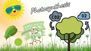 Definition of photosynthesis