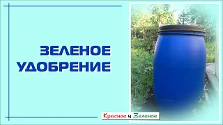 Зеленое удобрение без запаха. Отличная подкормка. Проверенный рецепт!