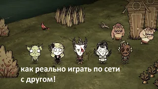 реально как поиграть в Don't Starve Together по сети