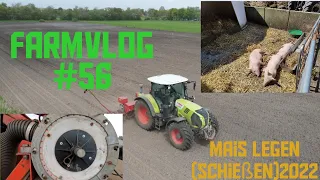 FarmVLOG #56 Mais drillen/die neuen Ferkel sind da