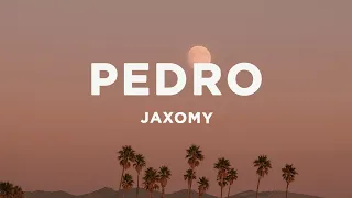 PEDRO - Jaxomy, Agatino Romero, Raffaella Carrà (TikTok Song) Lyrics