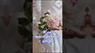 С добрым утром!