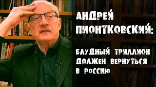 А. Пионтковский:  Блудный триллион должен вернуться в Россию