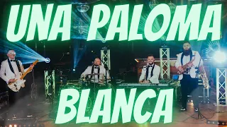 DEMETERS Rzeszów - Una Paloma Blanca 🔥💃🕺 NOWOŚC 2023