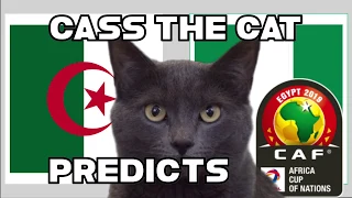 2019 AFRICA CUP OF NATIONS - SEMI FINAL - ALGERIA VS NIGERIA – CASS THE CAT PREDICTS