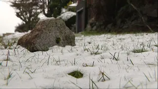 February storm brings lowland snow to parts of western Washington