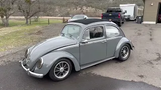 1962 Volkswagen Beetle Walk Around