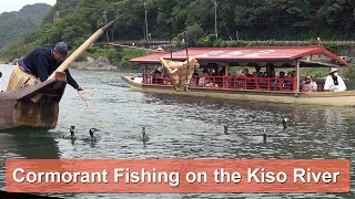 Cormorant Fishing on the Kiso River