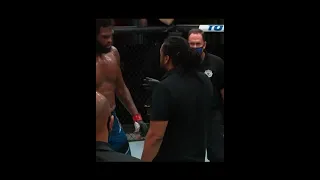 Don't Argue With Herb Dean