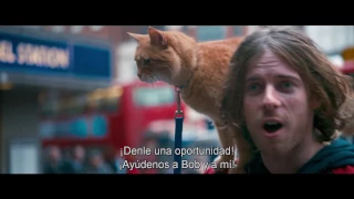 Un Gato Callejero Llamado Bob - Trailer