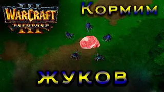 Warcraft 3 Reforged | играем за нежить