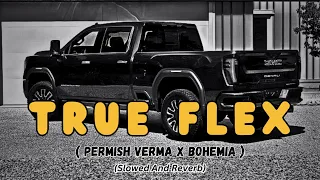 TRUE FLEX | PERMISH VERMA | | BOHEMIA | ( SLOWED + REVERB ) #moizrhythmix