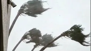 30 minutes of Hurricane Ian, eyewall intercept Port Charlotte, FL. Audio and damage images.