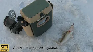 Зимняя ловля пассивного судака на зимнюю блесну .