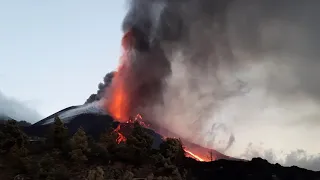 The Terrible Beauty - La Palma 2021