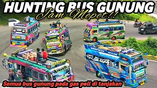 Hunting Bus Gunung || Jam Mepet!! Bus Gunung Pada Gass Poll Di Tanjakan