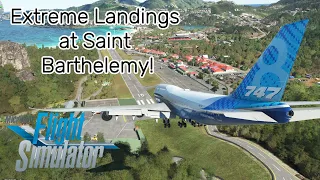 Extreme landings at Saint Barthelemy!!!~Microsoft flight smulator