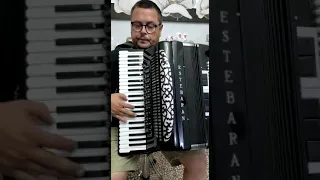 Accordion Estebaran Double Cassotto 120 bass LMMH - Test1