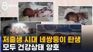 자연분만으로 태어난 네쌍둥이…국내 최초 / SBS