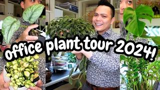 Office Plant Tour and Q&A 💚 Spring 2024 | Mostly Hoyas, Philodendron, Monstera & MORE HOUSEPLANTS 😍