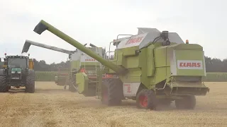 Claas Dominator 98 Sl en Claas Lexion 420 in de brouwgerst