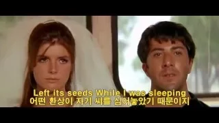 [영화음악 / 영화OST] 졸업(The Graduate, 1967) - 사이먼&가펑클 "The sound of silence"