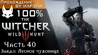The Witcher 3: Wild Hunt - Часть 40, Заказ: Лесное чудовище