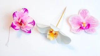 Orchidee aus Blütenpaste / Tutorial Phalaenopsis (3 Methoden/ 6 Farben)