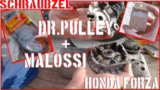 Honda Forza 125 vario rollers tuning