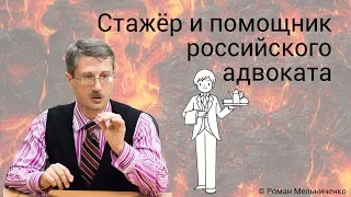 Стажёр и помощник российского адвоката