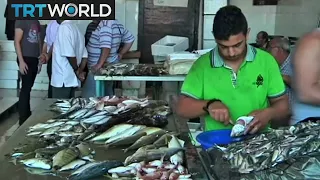 Tripoli Fish Market in Trouble: Illegal and imported catches bad for business