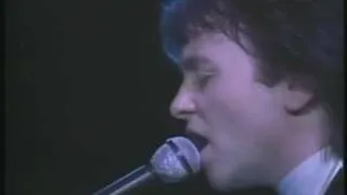 Feel the Benefit Live 1 & 2 - 1982