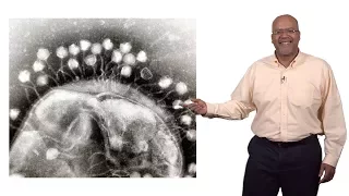 Paul E. Turner (Yale) 3: Phage Therapy