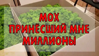 ТОП бизнес на стабилизированном мхе