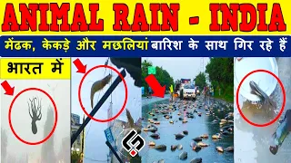 होने लगी मछलियों की बारिश | Animal Rain Explained in Hindi